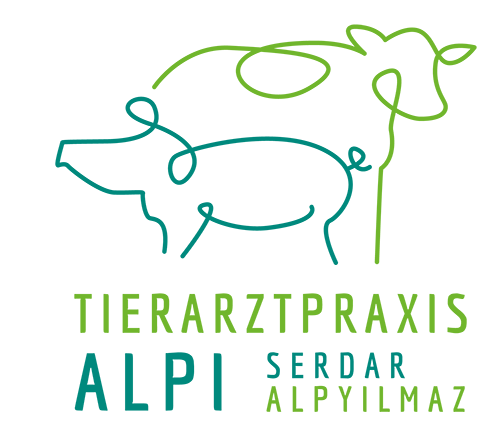 Tierarztpraxis ALPI | Tierarztpraxis für Schweine und Rinder